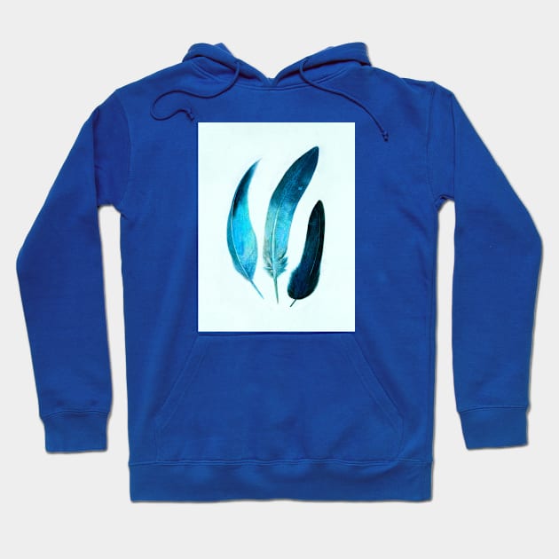 Indigo Feathers Hoodie by Terry Fan